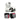 Combos BOXEO | MUAY THAI | MMA